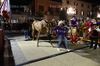 Immagine <b>REG_8148</b>